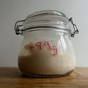 Bring forth the Sourdough - V2